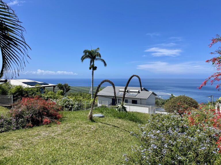 Photo du jardin arboré en façade de la résidence